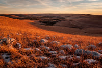 Kansas Landscapes