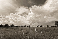Kansas Landscapes