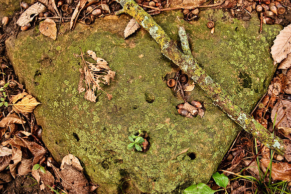 Fragments