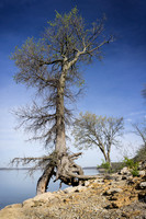 Kansas Landscapes