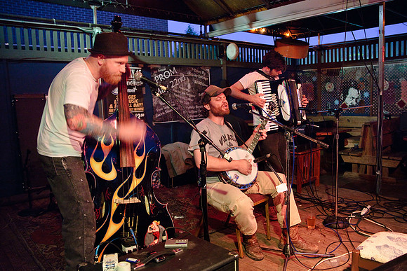 The Whistle Pigs