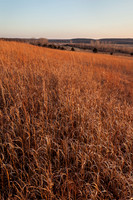 Kansas Landscapes