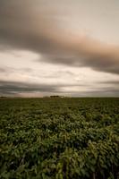 Kansas Landscapes