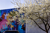 Lawrence, KS Cityscapes