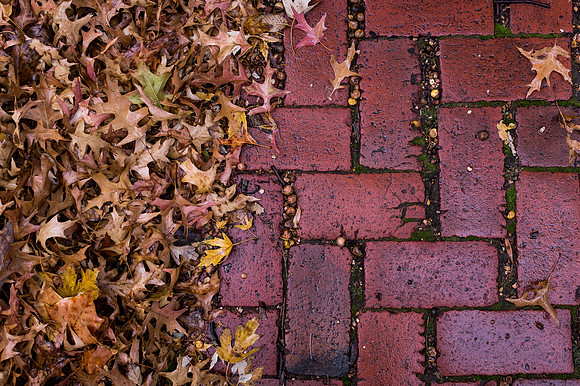 East Lawrence Sidewalk