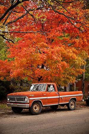 Orange Truck