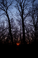 Kansas Landscapes