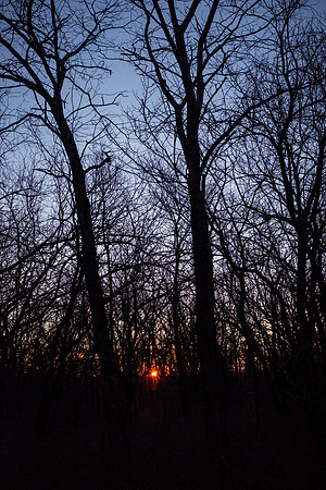 campout0316_26