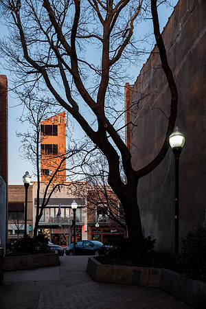 View of the Tower