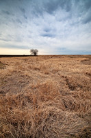 Kansas Landscapes