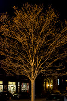 Lawrence, KS Cityscapes