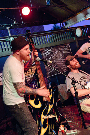 The Whistle Pigs