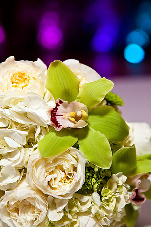 Lawrence, KS wedding photographer