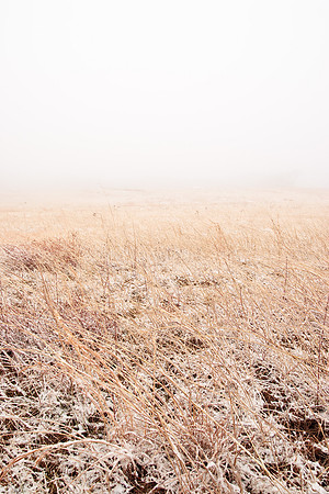 Whiteout