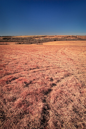 Traces