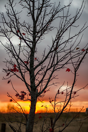 November Air II