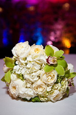 Lawrence, KS wedding photographer