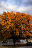 Lawrence, KS Cityscapes