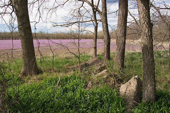 Old Farmstead