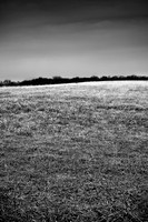 Kansas Landscapes