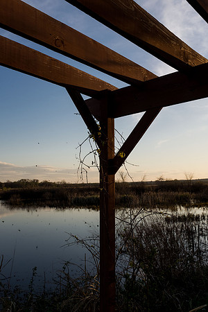 wetlands041116_11