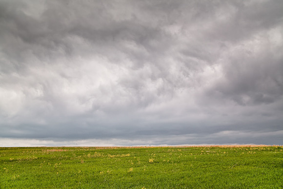 Turbid Skies